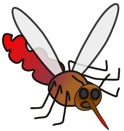 Picture of Mosquito